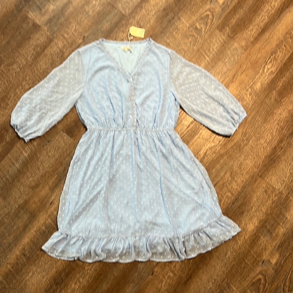 Swiss Dot Ruffle Dress NWT